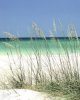 beach[1].jpg
