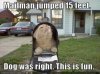 catinmailbox.jpg