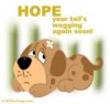 ImageUploadedByTapatalk1338003360.403665.jpg