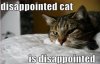 dcAT.jpg