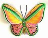 Butterfly_1.jpg