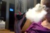 Photo on 3-30-17 at 4.49 PM.jpg