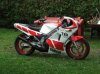 DSCF3644.jpg