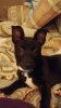 Ozzy face close up.jpg