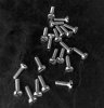 Screws.jpg
