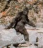 Sasquatch sighting.jpg