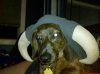 IMG_20120523_222214.jpg