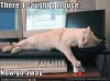 caughtamousegoaway.jpg
