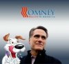 Mitt.jpg