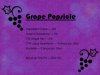 Grape Popsicle.jpg