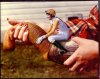 geoduck-jockey-lrg_987.jpg
