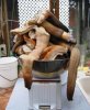 geoduck07.jpg
