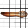 geo.jpg