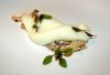 geoduck2_crop.jpg