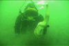 diver.jpg