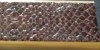 snakeskin closeup 2.jpg