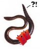 wormSwimmies.jpg