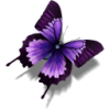 Other-Butterfly-icon.png