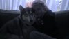 nikko anbd lindsey.jpg