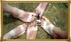 ledean sandal tan.jpg