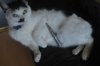 DSC_9760.jpg