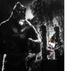 kingkong.jpg