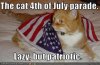 4th of uly kitty.jpg