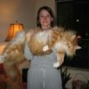 riley-maine-....-cat-150x150.jpg