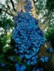 ImageUploadedByTapatalk HD1341795128.787868.jpg