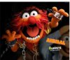 muppet.jpg