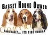 basset.jpg