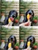 dogicecream.jpg