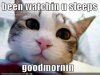 funny-pictures-your-cat-watches-you-sleep.jpg