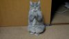 catsignal.jpg