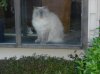 DSC00813.jpg