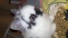 2011-11-20_14-52-07_159.jpg