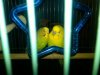 IMG00261-20110212-2332.jpg