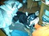 IMG-20110415-00070.jpg