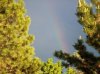 100_2359r.jpg