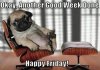 Fridaypug.jpg