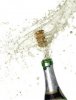 holiday, bubbling bottle of champagne.jpg