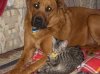 bestus friends Feb2010 - Copy.jpg