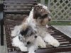 Gus & Lolie.jpg