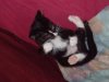Dscf0056.jpg
