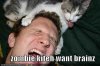 zombie_cat-x.JPG