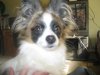 Roscoe 2011 031.jpg