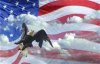 eagle.jpg