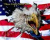 eagle.jpg