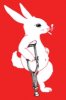 rabbit.jpg