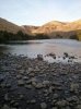 from phone 563.jpg